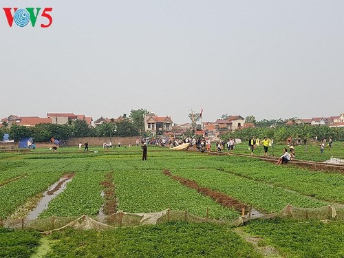 Bay lên cao cùng cánh diều làng Bá - ảnh 30